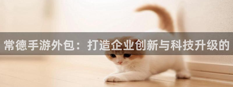 恩佐娱乐登陆：常德手游外包：打造企业创新与科技升级的
