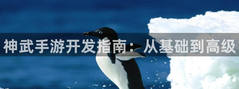 恩佐娱乐注册：神武手游开发指南：从基础到高级