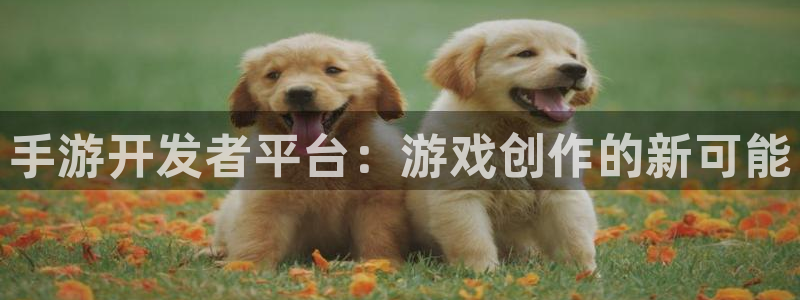 恩佐娱乐