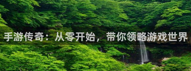 恩佐娱乐手机登录：手游传奇：从零开始，带你领略游戏世界