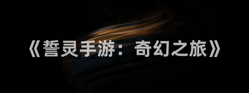 恩佐娱乐登陆