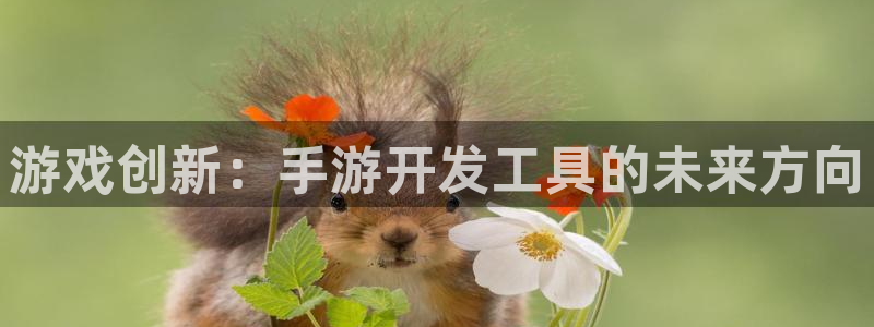恩佐娱乐平台正规吗可靠吗：游戏创新：手游开发工具的未来方向