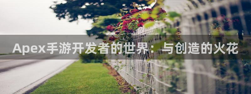 恩佐娱乐官方注册：Apex手游开发者的世界：与创造的火花