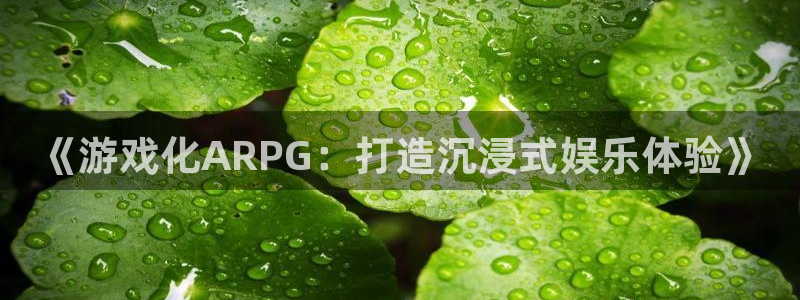 恩佐娱乐：《游戏化ARPG：打造沉浸式娱乐体验》