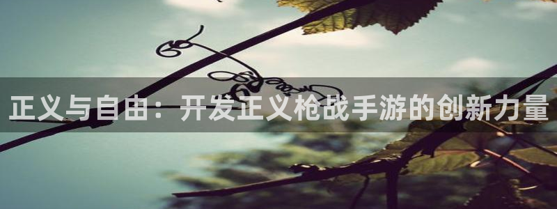 恩佐娱乐手机版最新功能介绍大全