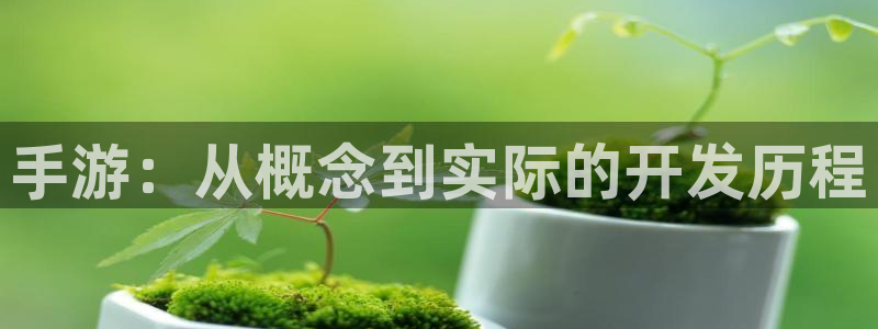 恩佐娱乐