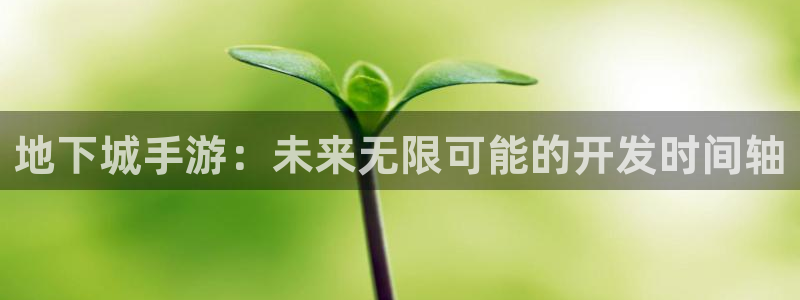 恩佐娱乐平台正规吗安全吗：地下城手游：未来无限可能的开发时间