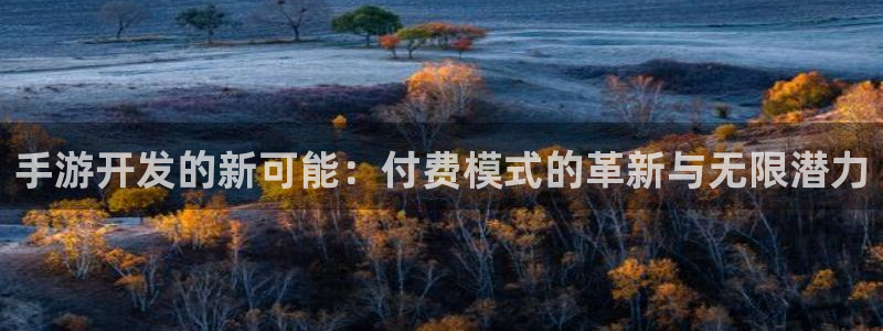 恩佐娱乐平台正规吗知乎：手游开发的新可能：付费模式的革新与无