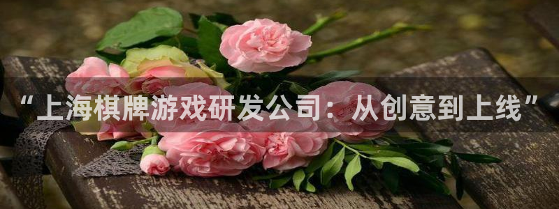 恩佐娱乐手机版最新功能介绍大全：“上海棋牌游戏研发公司：从创