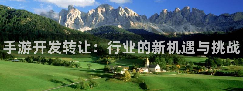 恩佐娱乐手机版最新功能介绍大全：手游开发转让：行业的新机遇与