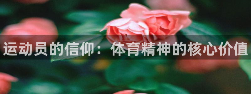 球王会体育