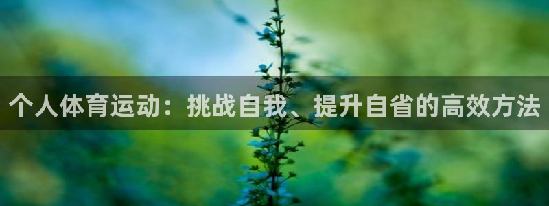 球王会体育