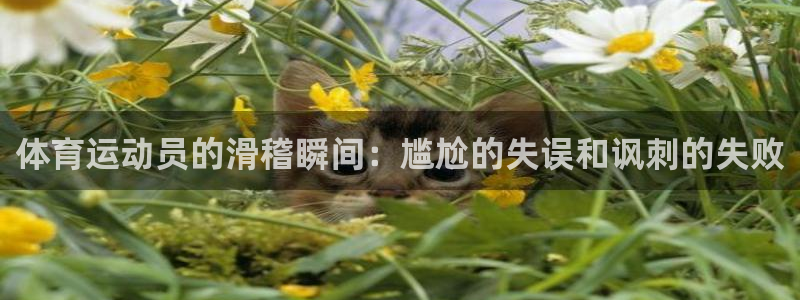 球王会体育