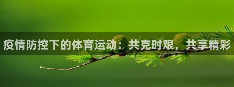 球王会体育