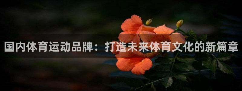 球王会体育