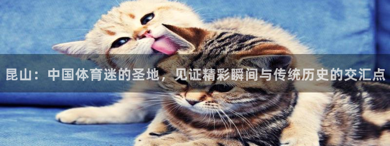 球王会体育