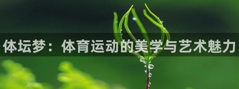 球王会体育
