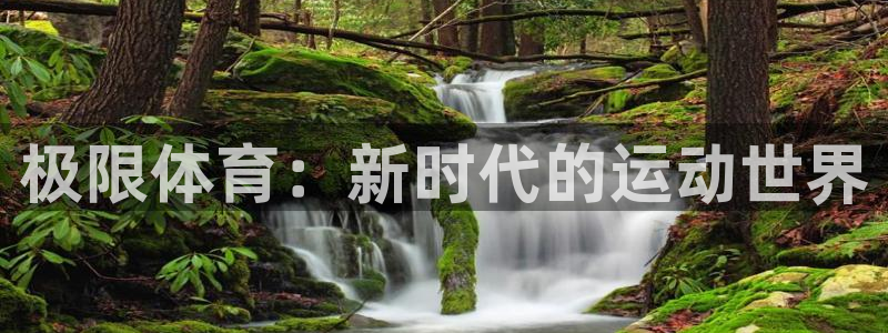 球王会体育