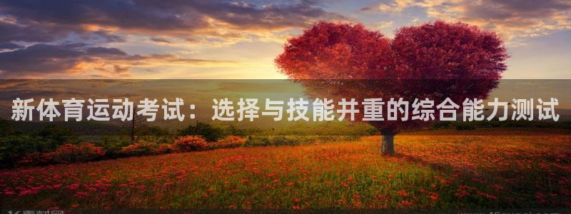 球王会体育