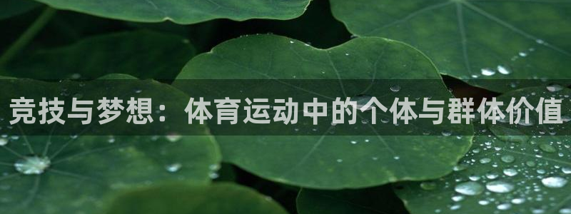 球王会体育